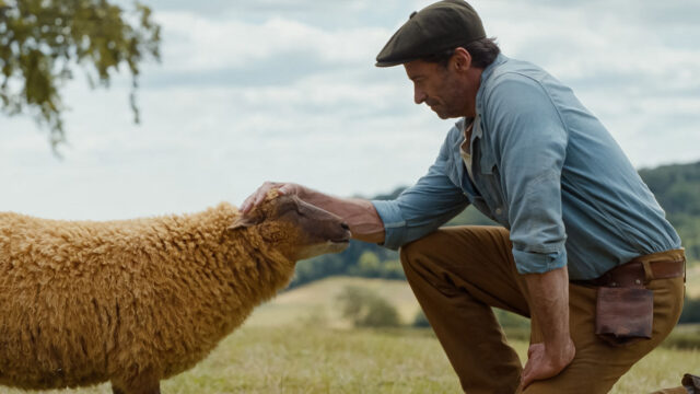 how-grieving-my-mom-led-to-‘the-sheep-detectives’
