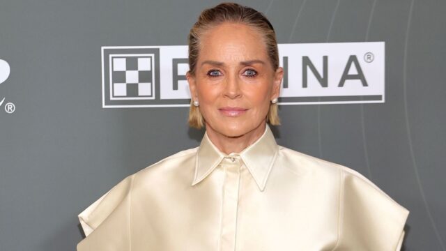 sharon-stone-reveals-physical-assault-while-being-hit-from-behind:-“i-didn’t-know-how-i-got-there”